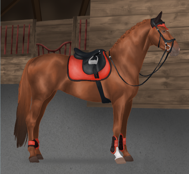 Horse Image